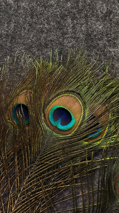 Natural Peacock Feather | Premium Mor Pankh for Home Decor, Pooja, Vastu & Good Luck. (Pack Of 10)