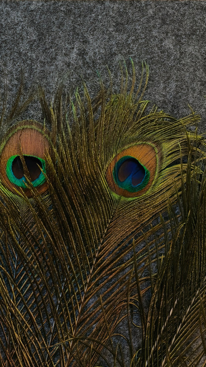 Natural Peacock Feather | Premium Mor Pankh for Home Decor, Pooja, Vastu & Good Luck. (Pack Of 10)