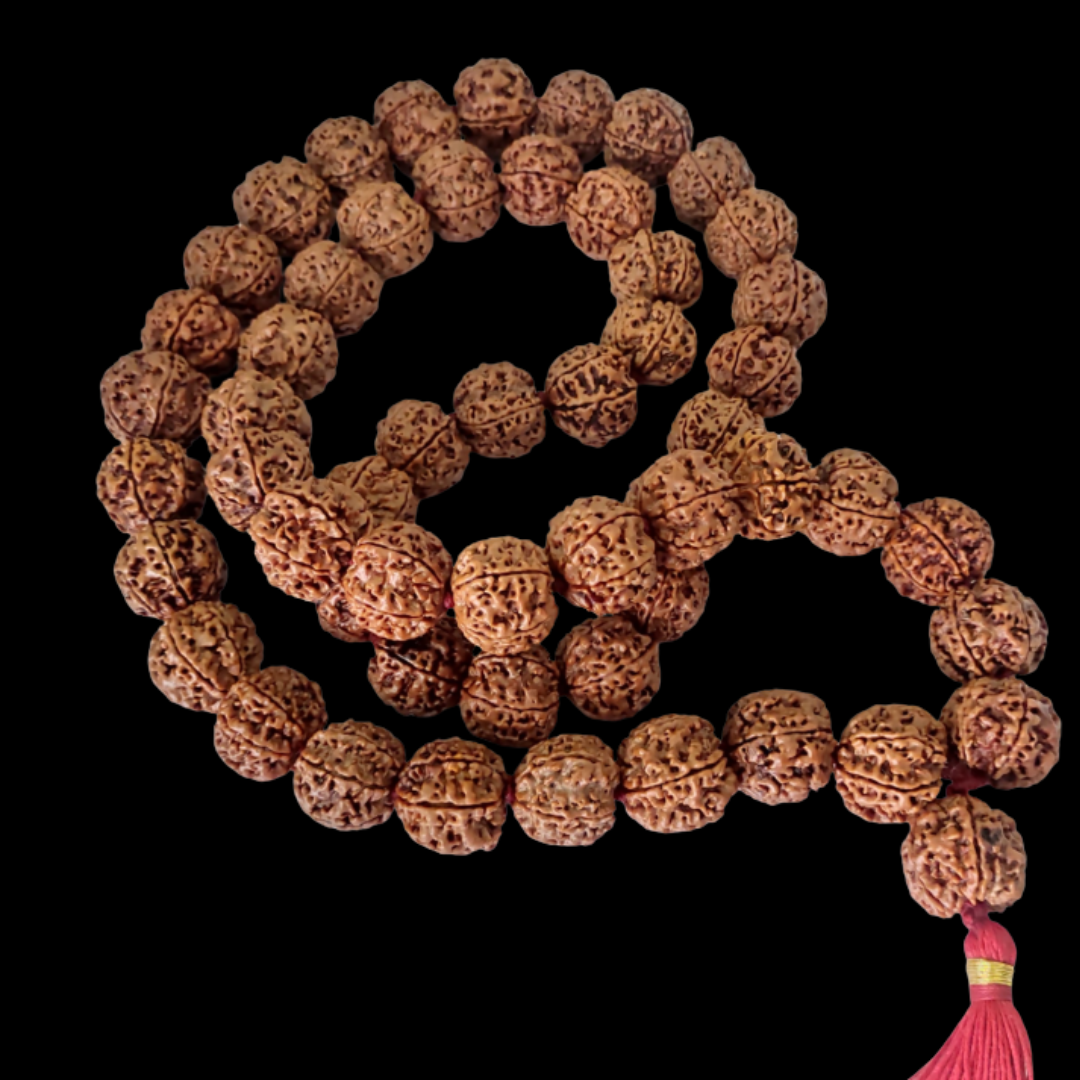 Big Rudraksha Mala 108 Beads