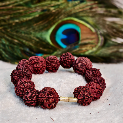 Rudraksha Beads string Divine Mala. plug  (5 Mukhi)