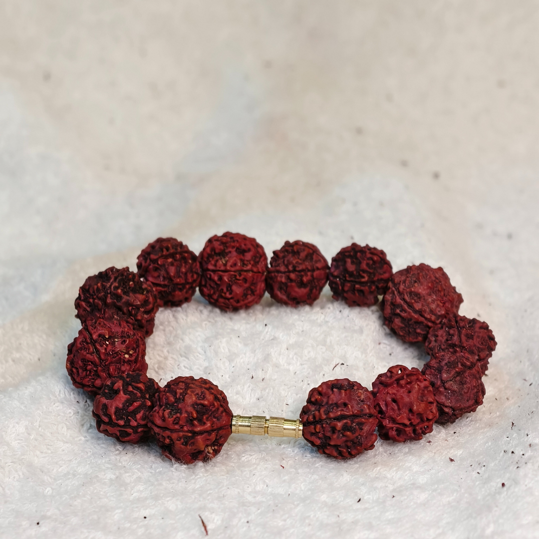 Rudraksha Beads string Divine Mala. plug  (5 Mukhi)