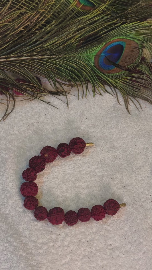 Rudraksha Beads string Divine Mala. plug  (5 Mukhi)
